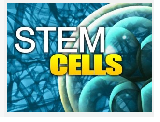 Stem Cell By Kampon Sriwatanakul, M.D.,Ph.D